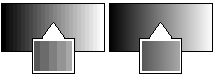 Simultaneous display of 10bit (1028 shades of gray)