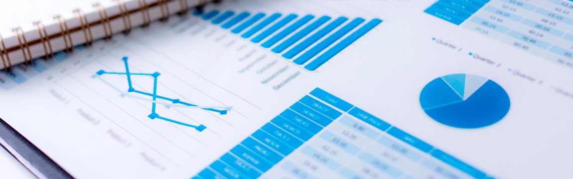 Shareholders and Investment Information