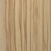 オリーブの木目