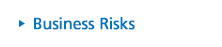 Business Risks
