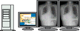 Color/monochrome conversion function for multi-display setups with both color and monochrome displays