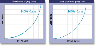 DICOM GSDF compliant curves by the number of simultaneously available gray shades