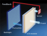 Newly developed luminance stabilizing system λ-Sentinel